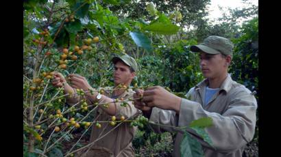 Nuevos precios para los productores agropecuarios