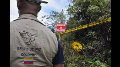 Peligra proceso de desminado en Colombia