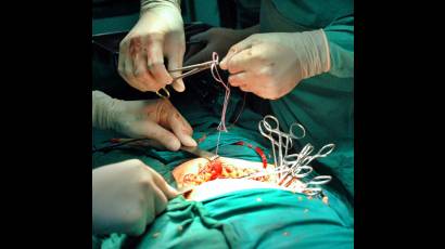 Un acto de elevada conciencia humanitaria