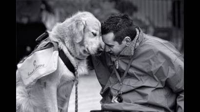 el hombre y los perros