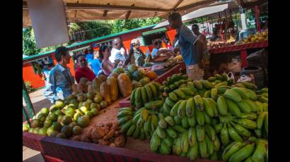 ¿Bajaron los precios en el mercado agropecuario?