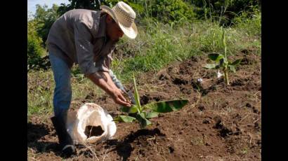 Agroecología en Cuba