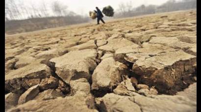 La tierra se encuentra altamente degradada