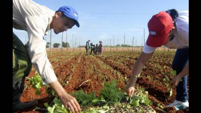 Productividad agrícola