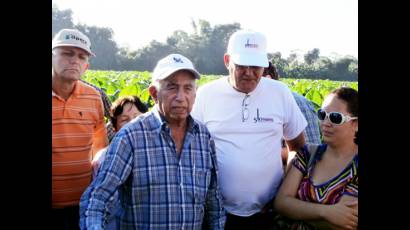 Recorre Machado Ventura áreas productivas en Pinar del Río