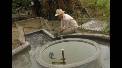 Producción de biogás en Cuba