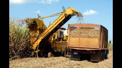 Solo la eficiencia revertirá la situación de la zafra