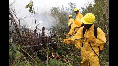 Prevén disminución de incendios forestales