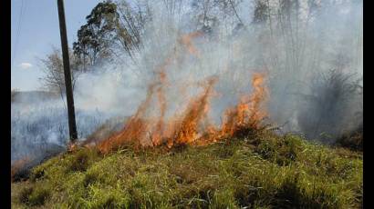 Incendio forestal