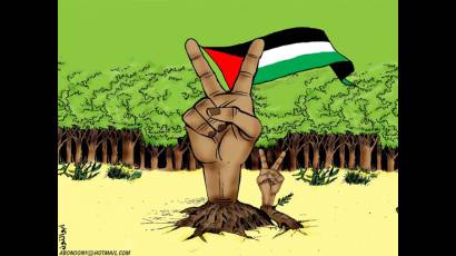 Los olivos renacen el Día de la Tierra palestina
