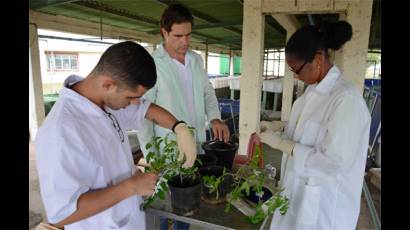 Biotecnología cubana