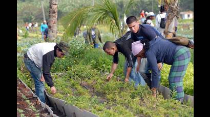 comunidad agropecuaria y académica de Estados Unidos