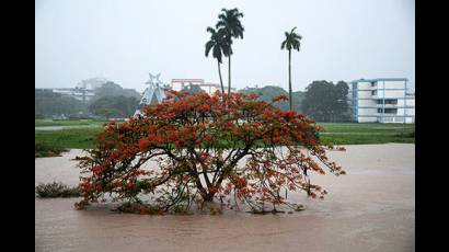 Las lluvias en Pinar del Rio