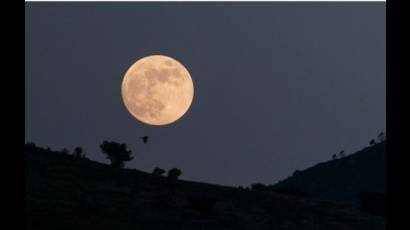 Luna llena