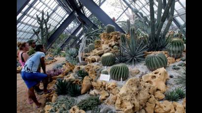 Exposición de especies vivas de cáctus y suculentas 
