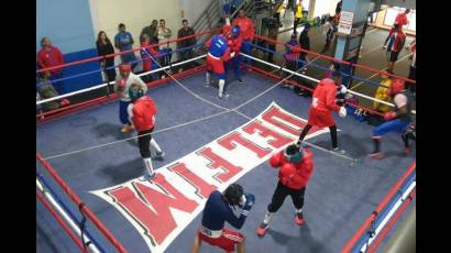 La selección nacional de boxeo da los toques finales a su preparación