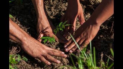 Proceso productivo agropecuario 