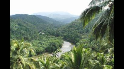 El Parque Nacional Alejandro de Humboldt 