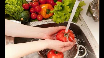 Es de vital importancia lavar y cocinar bien los alimentos