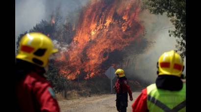 Bomberos luchan en la provincia de Bío Bío por apagar las llamas