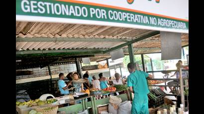 Comercio Mayorista