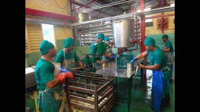 Desarrollo de frutales