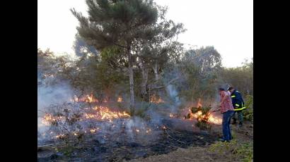 Incendio en la isla
