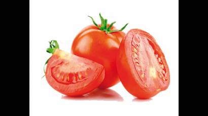 Tomate