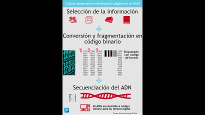 Almacenamiento de datos en el ADN