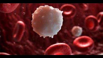 La Habana Hematología 2017