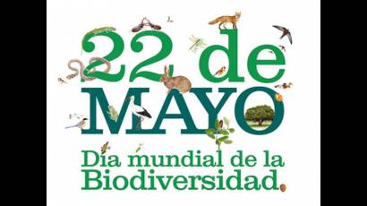 Día mundial de la biodiversidad