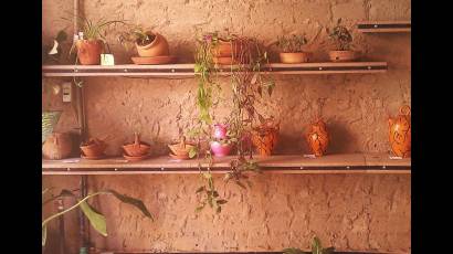 Yarearte