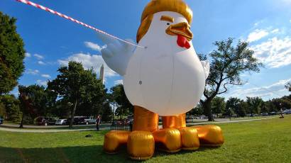 Trump Gallina