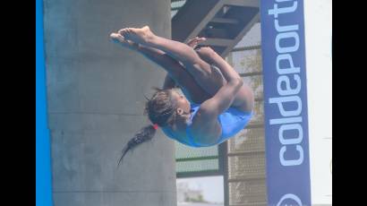 Anisley García