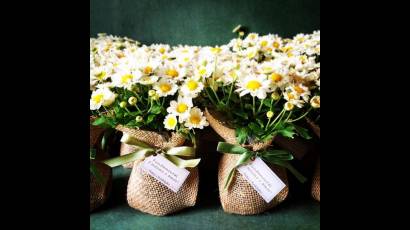 Arreglos florales para celebraciones