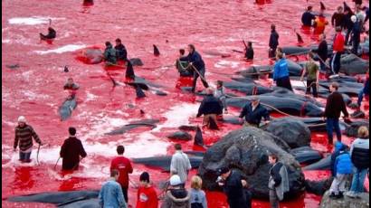 Caza de ballenas