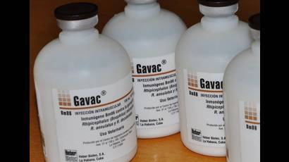 Gavac