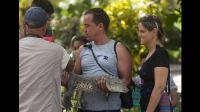 El sitio acoge recorridos guiados, un parque de diversiones, fotografías con animales y muchas otras opciones