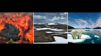 Desde junio, se han declarado más de 100 incendios forestales en el círculo Polar Ártico