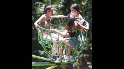 En este verano visitar el Zoológico de 26 puede ser uno de los planes ideales para hacer en familia
