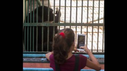 El sitio acoge recorridos guiados, un parque de diversiones, fotografías con animales y muchas otras opciones