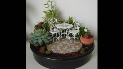 Jardines de interior en miniatura