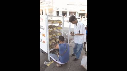 Teletrabajo (5)