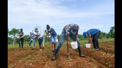 Jóvenes en el campo