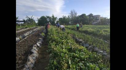 La juventud de Pinar del Río disfrutará del verano y se mantendrá vinculada a tareas de impacto social 