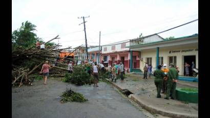 3.	Árbol caído en la carretera central