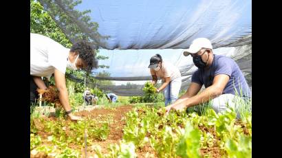 Romper el desabastecimiento (1)