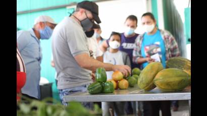 Desde los cultivos varios se desprenden los buenos resultados de la Empresa Agropecuaria La Jíquima