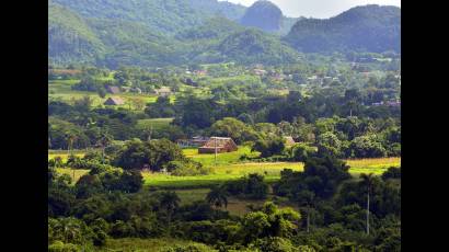 La naturaleza