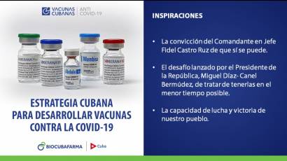 Candidatos vacunales